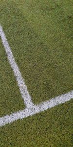 Grass,Miscellanea,Miscellaneous,Markup,Field,Stadium