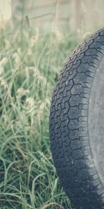 Grass,Miscellanea,Miscellaneous,Tyre,Rope,Tire