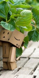 Danboard,Картонный Робот,Прогулка,Трава,Ягода,Земляника,Разное