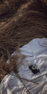 Grass,Miscellaneous,Dry,Miscellanea,Cloth,Retro,Camera