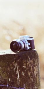 Grass,Miscellaneous,Field,Stump,Wire,Penek,Miscellanea,Camera