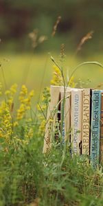 Grass,Mood,Stack,Pile,Miscellanea,Miscellaneous,Books