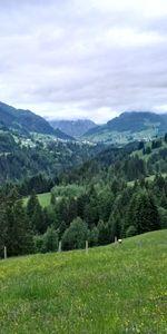 Grass,Mountains,Elevation,Allgäu,Allgoy,Nature,Germany