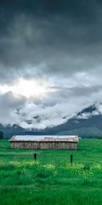 Grass,Mountains,Fog,Nature,Structure