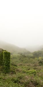 Grass,Mountains,Fog,Ruin,Nature,Ruins