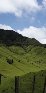 Naturaleza,Hierba,Montañas,Cerro,Loma,Nueva Zelanda