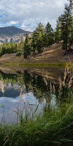Grass,Mountains,Lake,Nature,Landscape