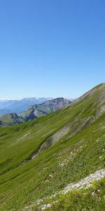 Grass,Mountains,Nature,Mountain Range,Landscape