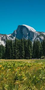 Grass,Mountains,Rocks,Spruce,Fir,Nature