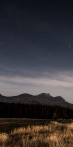 Naturaleza,Hierba,Montañas,Noche,Estrellas,Cielo Estrellado