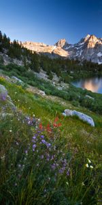 Vallée,Nature,Herbe,Montagnes,Lac,Fleurs,Paysage