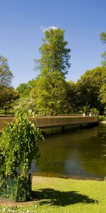 Nature,Herbe,Légumes Verts,Parc,Le Parc,Verdure