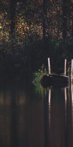 Grass,Nature,Trees,Forest,Rivers,Pier