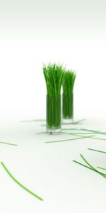 Grass,Objects,Tablewares