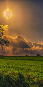 Campo,Cielo,Principalmente Nublado,Nublado,Naturaleza,Hierba,Árboles