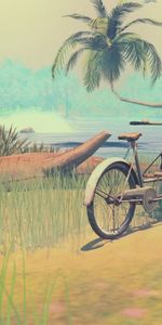 Grass,Palm,Lagoon,Art,Bicycle,Wheel,Beach