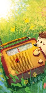 Grass,Radio,Nice,Sweetheart,Hedgehog,Art