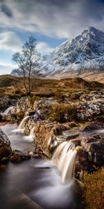 Grass,Rivers,Trees,Stones,Mountains,Nature