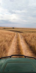 Grass,Road,Dahl,Nature,Car,Machine,Distance