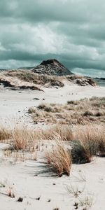 Grass,Rock,Coast,Hill,Nature,Sand