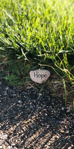 Grass,Rock,Words,Inscription,Stone,Hope