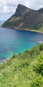 Grass,Sea,Coast,Cliff,Slope,Nature