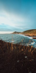 Grass,Sea,Rocks,Coast,Cliff,Nature