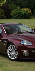 Трава,Vanquish,Бордовый,V12,Тачки (Cars),Вид Сбоку,2001,Астон Мартин (Aston Martin),Стиль