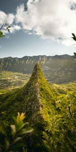 Grass,Sky,Branches,Hill,Nature,Mountains