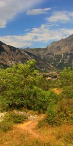 Grass,Sky,Bush,Rock,Vertex,Top,Nature