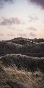 Grass,Sky,Clouds,Hills,Nature