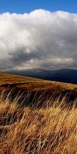 Herbe,Nature,Nuages,Domaine,Sky,Champ