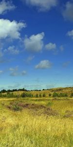 Herbe,Nuages,Nature,Domaine,Sky,Champ,Été