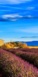 Grass,Sky,Field,France,Provence,Nature