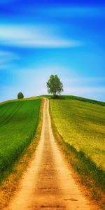 Domaine,Colline,Route,Herbe,Champ,Nature,Été,Sky