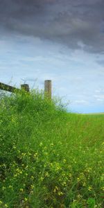 Grass,Sky,Field,Mainly Cloudy,Overcast,Fencing,Log,Nature,Enclosure