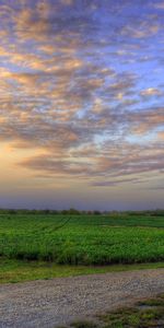 Champ,Domaine,Herbe,Sky,Été,Nature