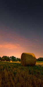 Grass,Sky,Hay,Stack,Nature,Sunset,Field,Rick