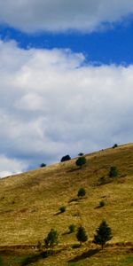 Herbe,Colline,Élévation,Nature,Sky