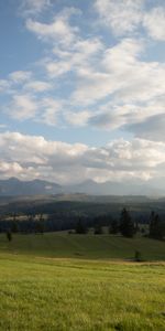 Grass,Sky,Hill,Nature,Meadow