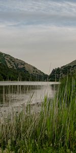 Grass,Sky,Hills,Rivers,Trees,Nature