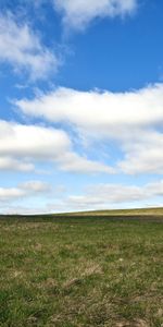 Grass,Sky,Horizon,Dog,Stroll,Animals