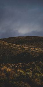 Herbe,Colline,Nature,Horizon,Sky