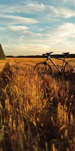 Grass,Sky,Horizon,Miscellanea,Miscellaneous,Field,Bicycle