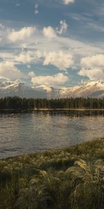 Herbe,Sky,Nature,Lac