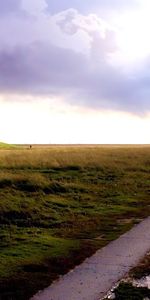 Grass,Sky,Landscape