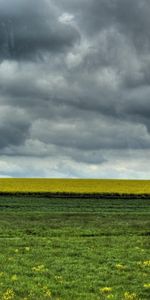 Grass,Sky,Landscape