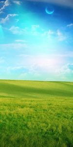 Grass,Sky,Landscape