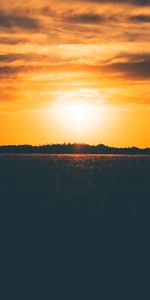 Grass,Sky,Nature,Sunset,Field