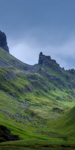 Grass,Sky,Rocks,Moss,Nature